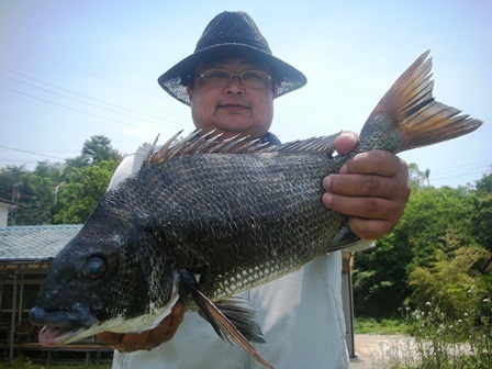 ５月１５日　ダゴチン釣りで吉田さん　５０．６㎝