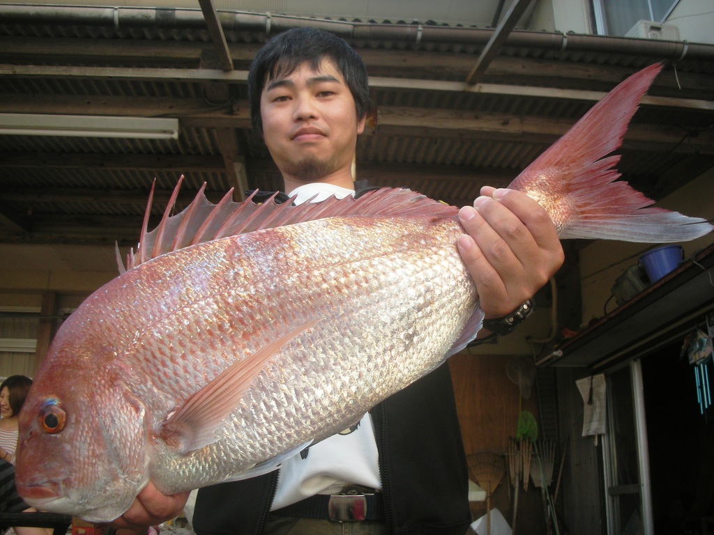 １０月９日　船外機付きレンタルボートで岡田さん　ビッグマダイ７０㎝・４．２５㎏