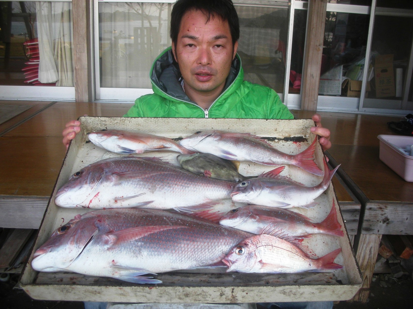 １０月２９日　船外機付きレンタルボートで谷口さん　マダイ　５８㎝・５７㎝を頭に７匹