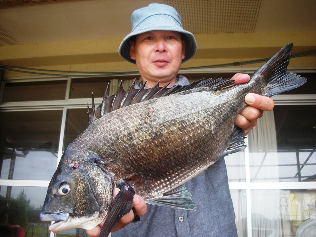 ６月９日　西山　真二さん　ガバチヌ５０㎝