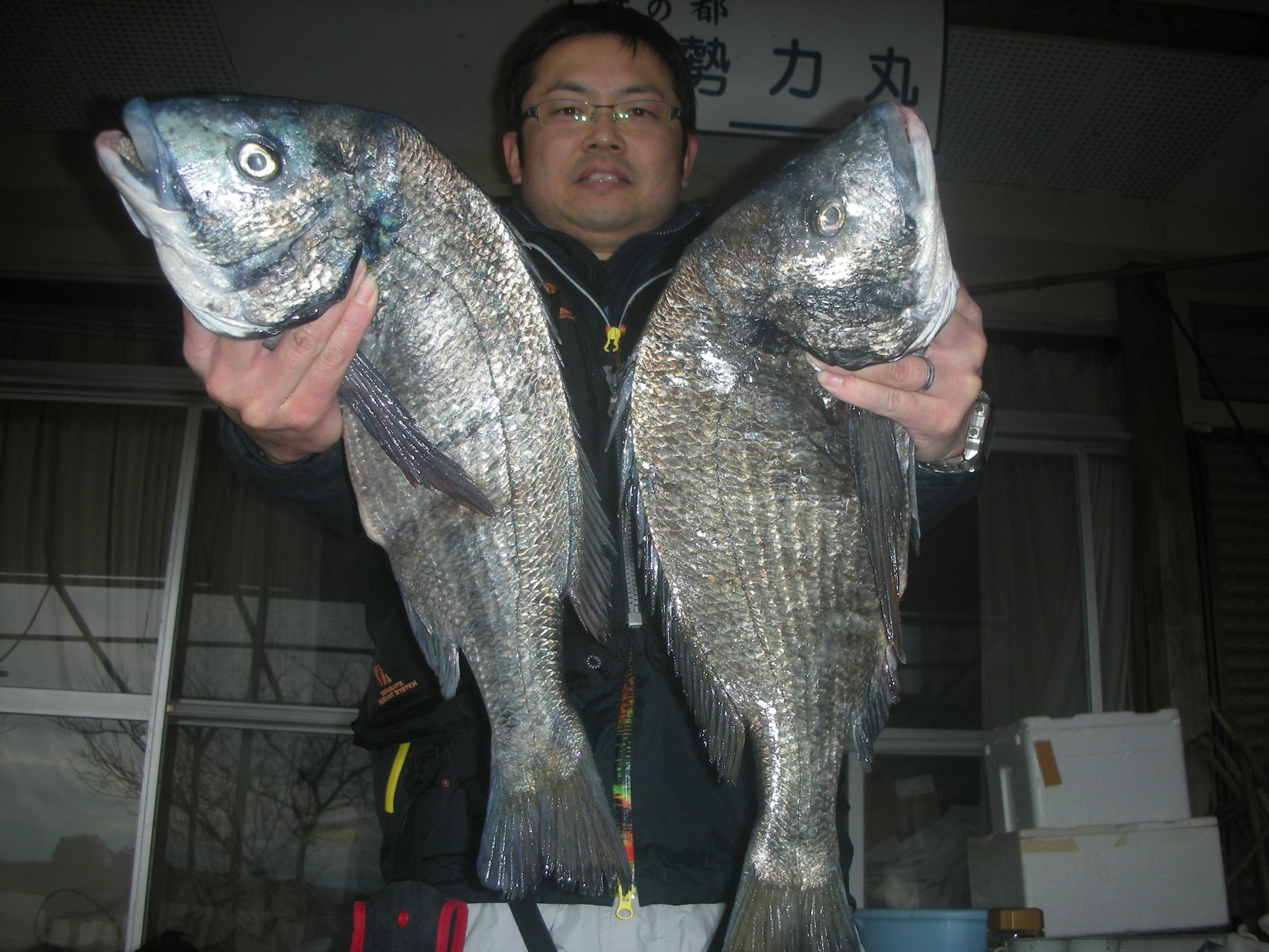１２月２２日　藤本さん　ガバチヌ５１㎝・５０．４㎝