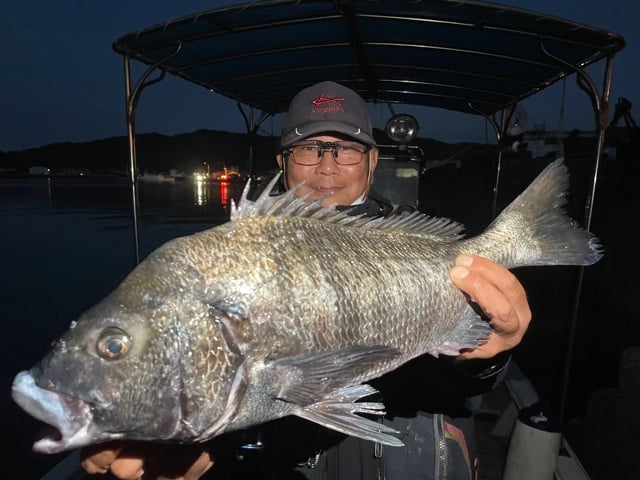 １１月１３日　磯釣りで野田さん　ガバチヌ５２．３cm