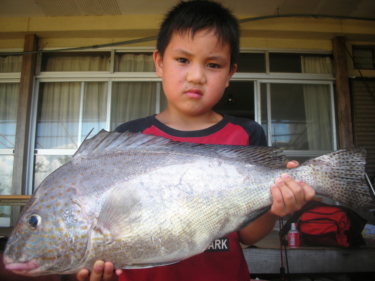 ７月２９日　霧生くん　ココダイ５８．５㎝