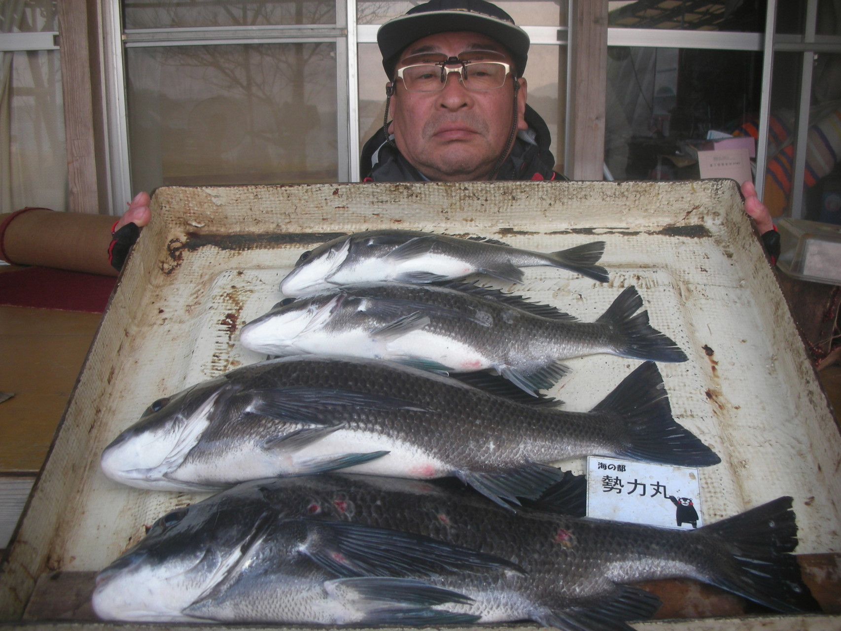 ２月１７日　杉本さん　ガバチヌ５０．４㎝を頭に４匹