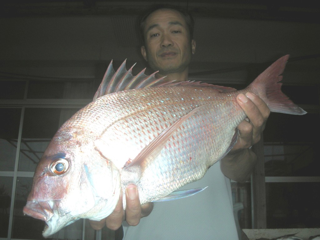 ６月７日　山口　清高さん　マダイ５５㎝