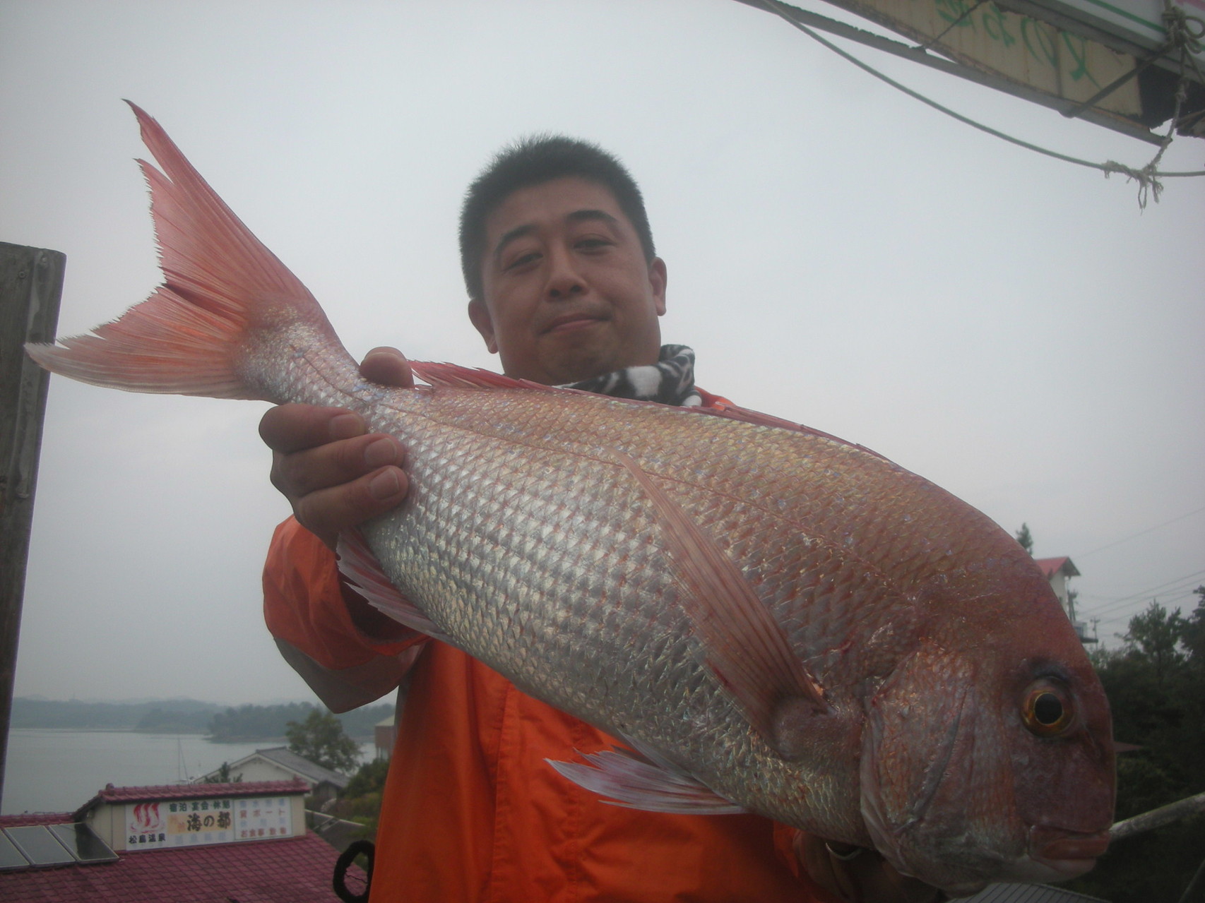 １１月２日　船外機付きレンタルボートで森さん　大型マダイ６０㎝