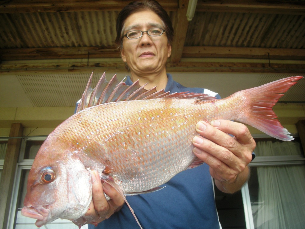 ９月１８日　船外機付きレンタルボートで古庄さん　マダイ５０㎝・１．６㎏