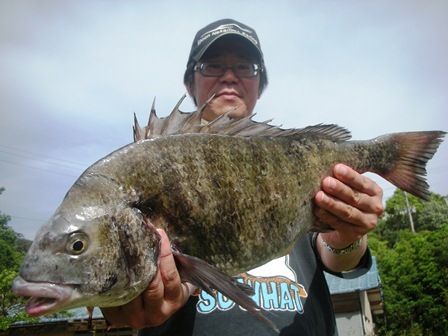 ５月１３日　磯釣りでi池田さん　５０．３㎝