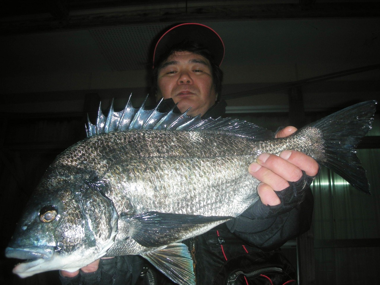 ３月２６日　磯釣りで渡辺　和茂さん　５０．２㎝