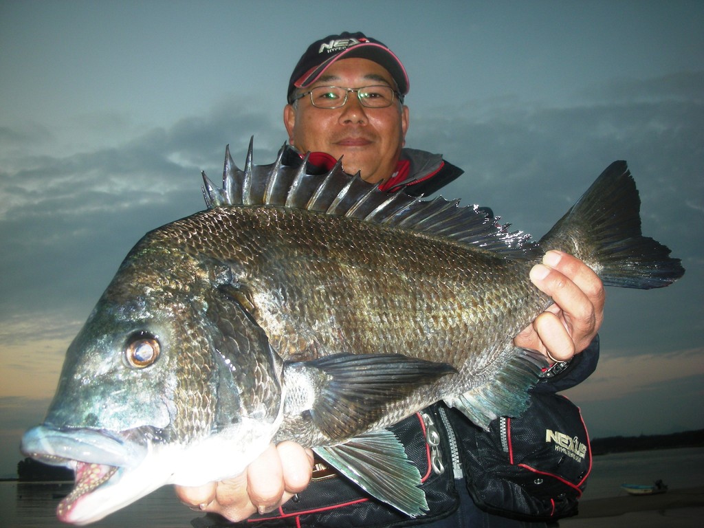 １月８日　野田　澄雄さん　巨大チヌ５４．９㎝
