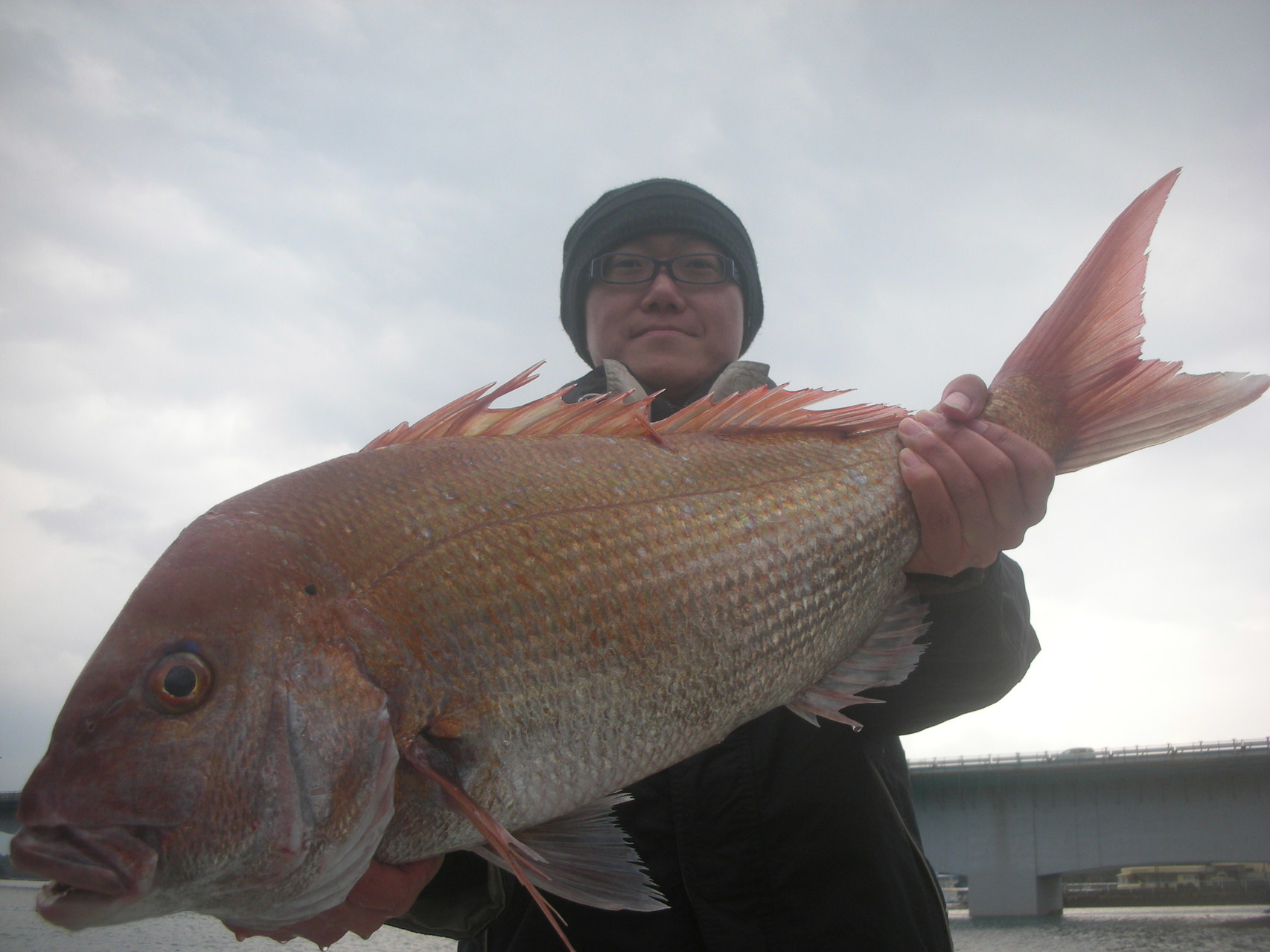 １２月３０日　船外機付きレンタルボートで青木さん　超大型マダイ　８０㎝・７．９㎏
