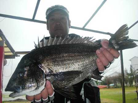 ３月６日　磯から柏木さん　５０．３㎝