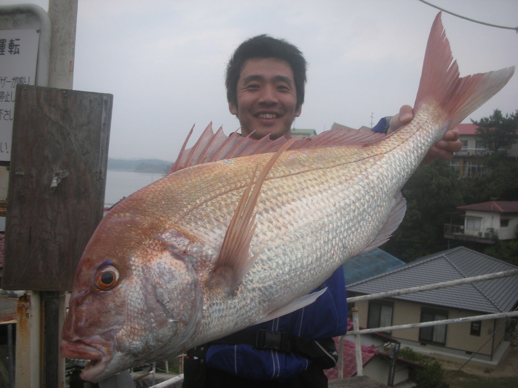 １１月２日　船外機付きレンタルボートで船附さん　大型マダイ７７．５㎝