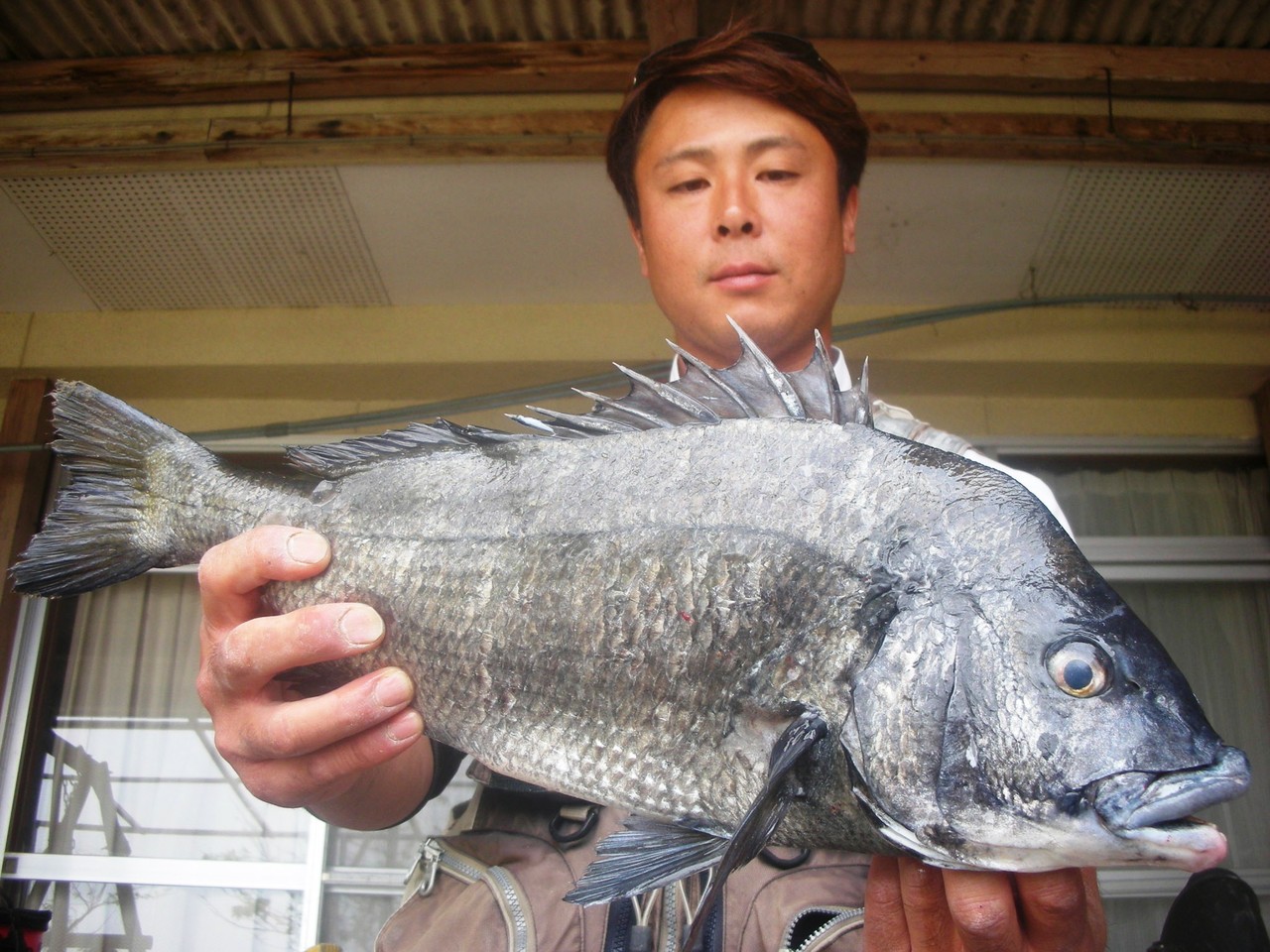 ４月１４日　平野　洋介さん　５０．２㎝