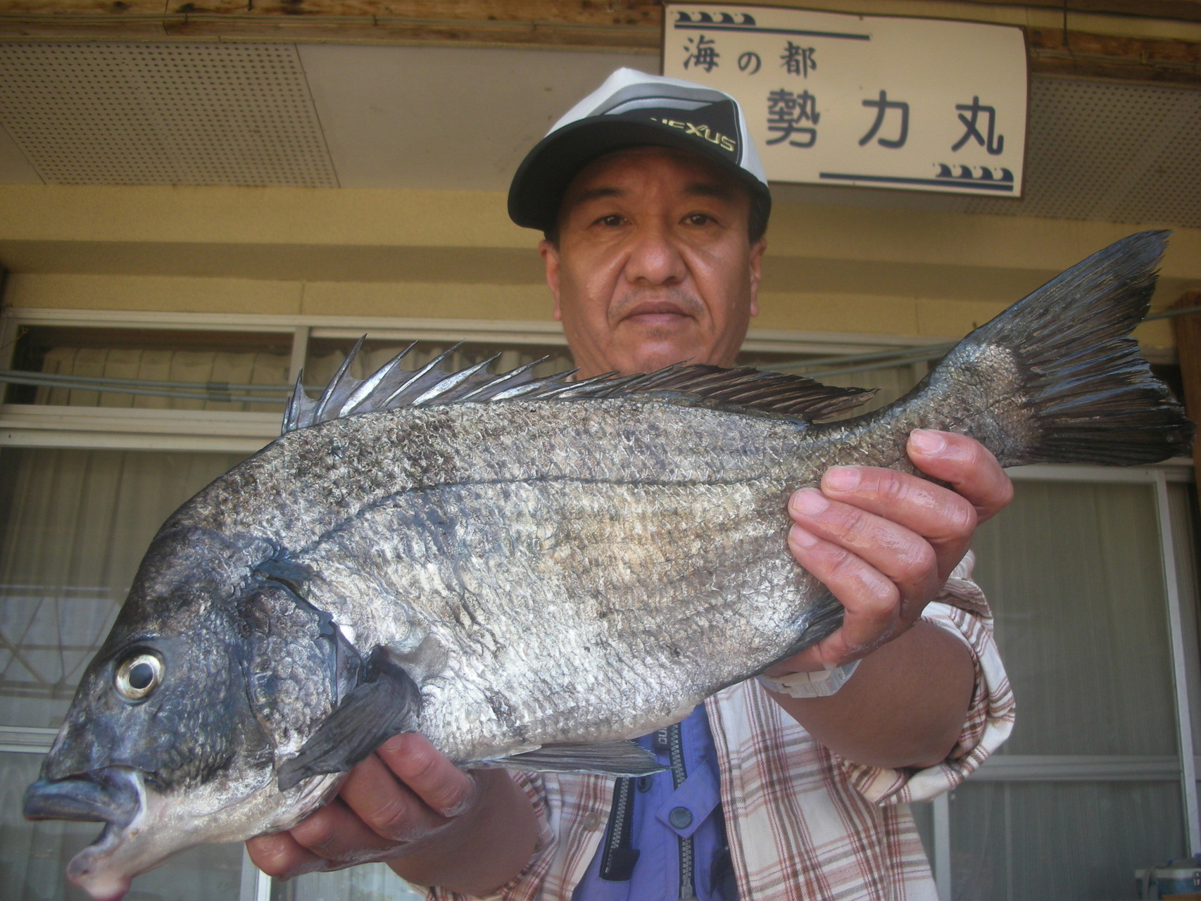 ４月２６日　松田さん　ガバチヌ５２．７㎝