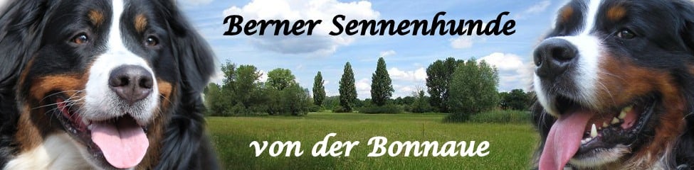 alia-berners Webseite!