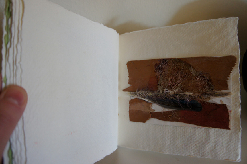 Trapped butterfly series. Book detail.