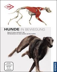 Hunde in Bewegung