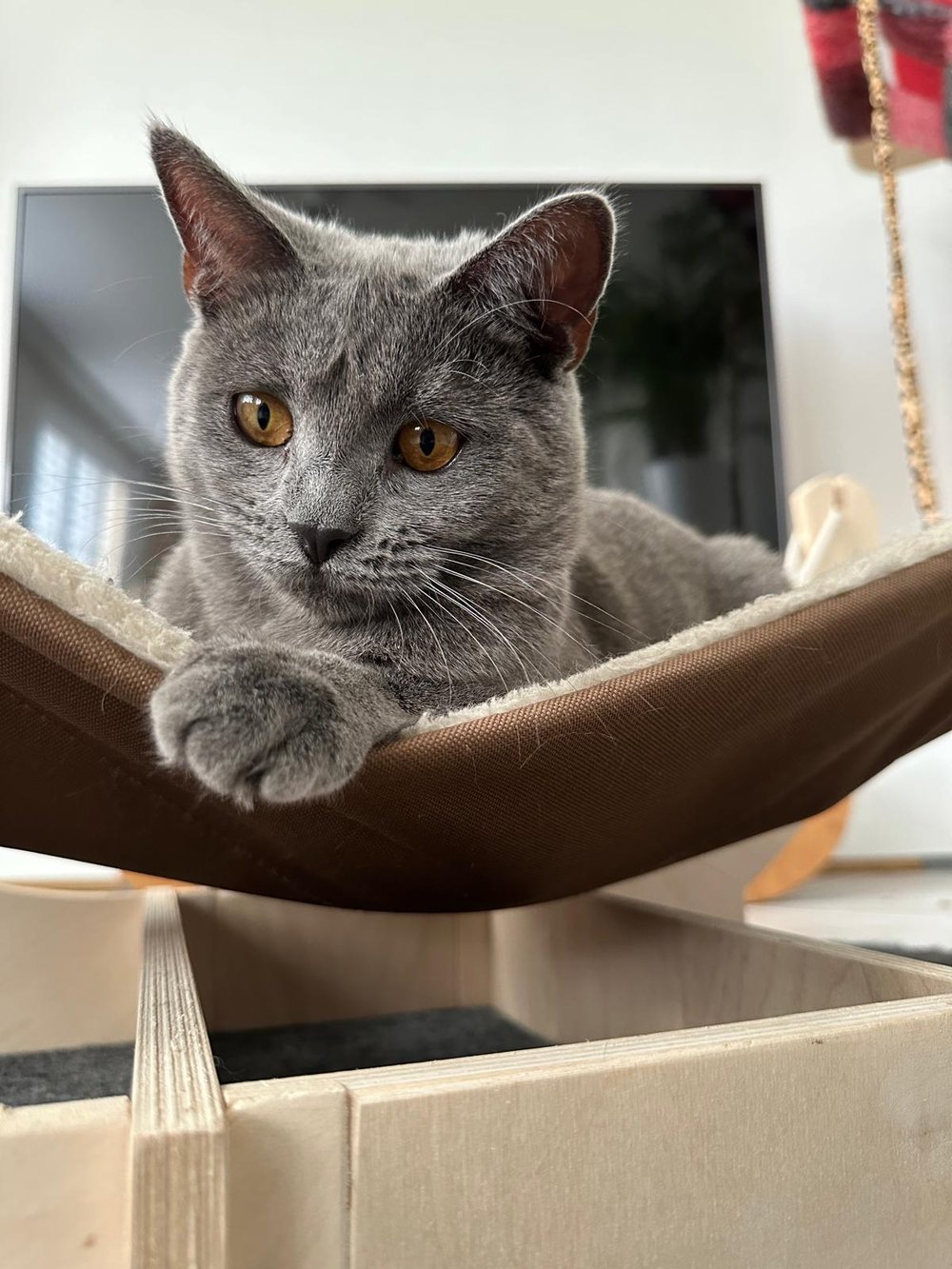 Vivien mit 8 Monaten 