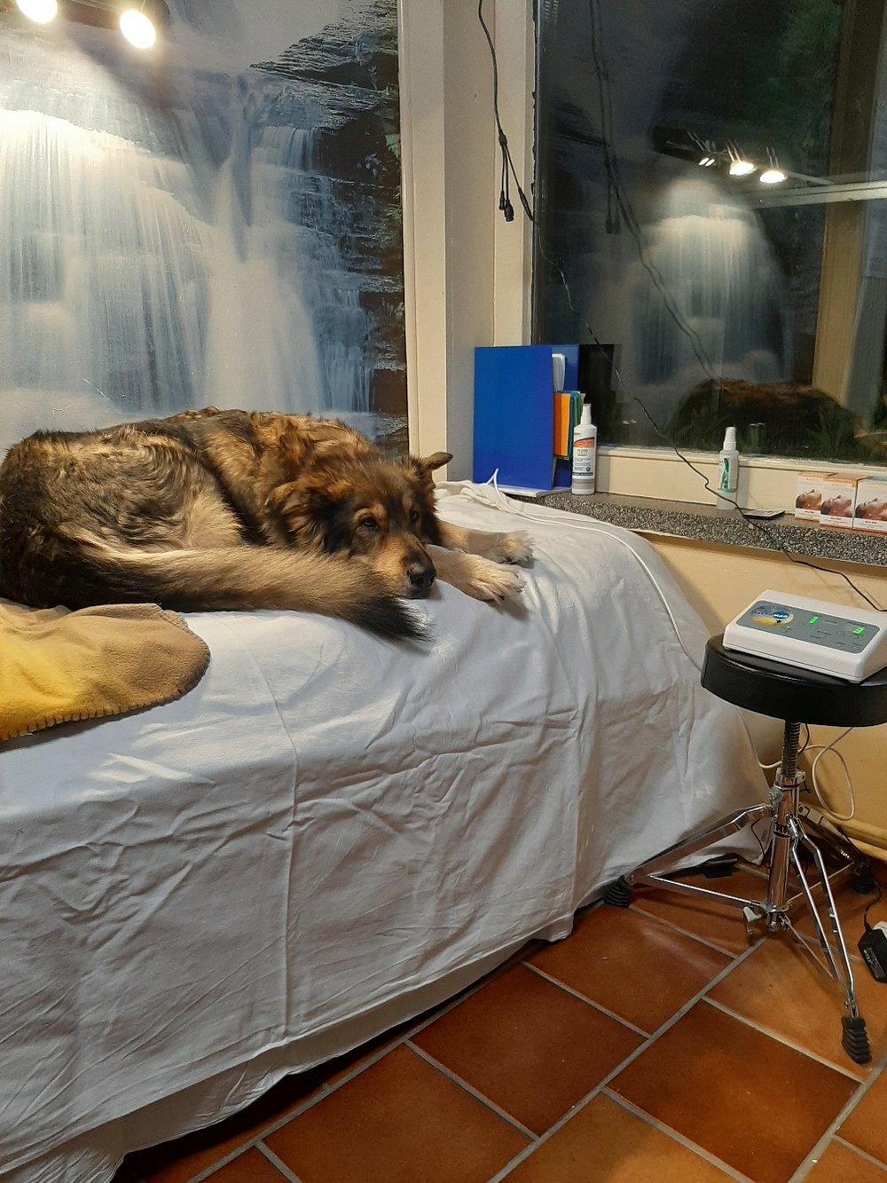 Foto: Cornelia Scholze-Gotthardt 