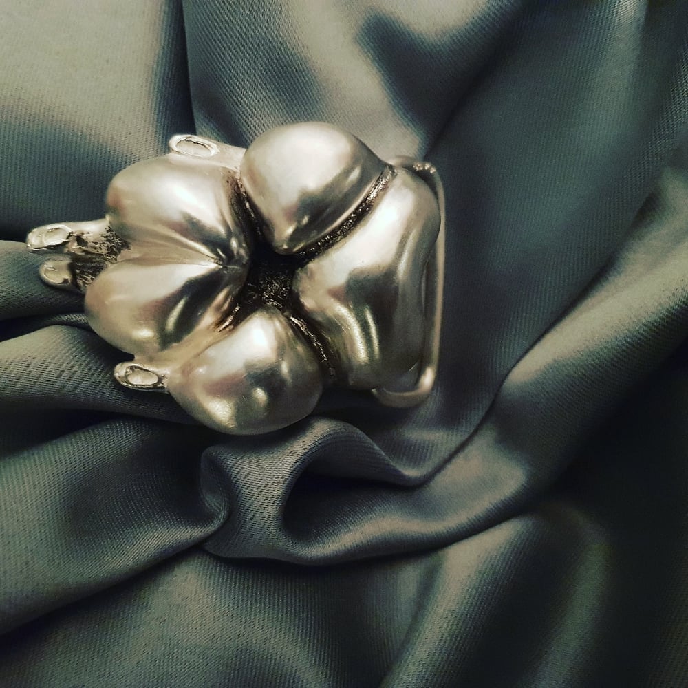 GUCCI...Flat Coatet Retriever...