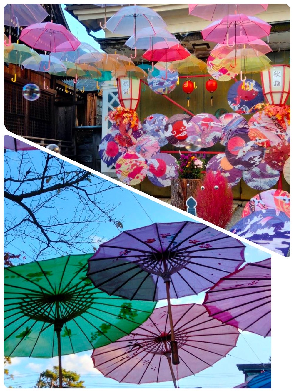 アンブレラスカイ　🏵️🏵️🏵️