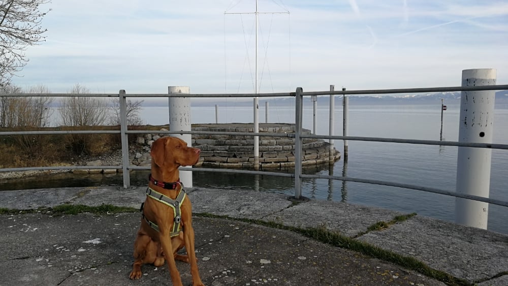 Winterruhe oder leiser Fleiss!