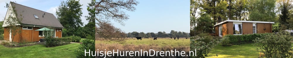 Huisje huren in Drenthe bij Diever en Doldersum in de natuur, prive particulier rustig, fietsen wandelen, natuurhuisje