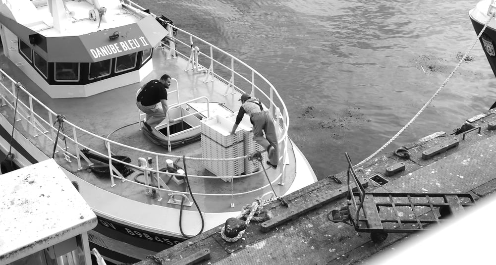 Organisationsentwicklung: ohne die Anderen geht nichts.