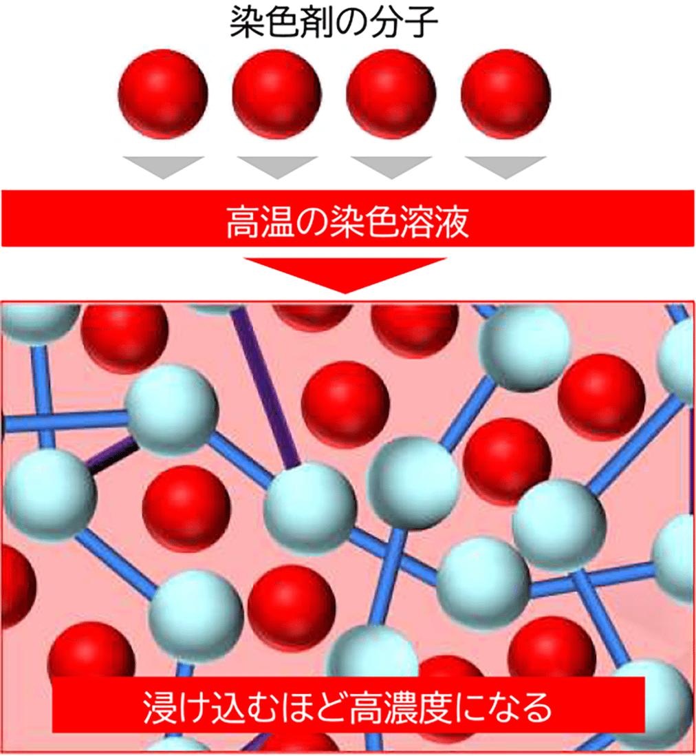 カラーレンズ製造における染色分子が、レンズ素材の分子構造に浸透する図