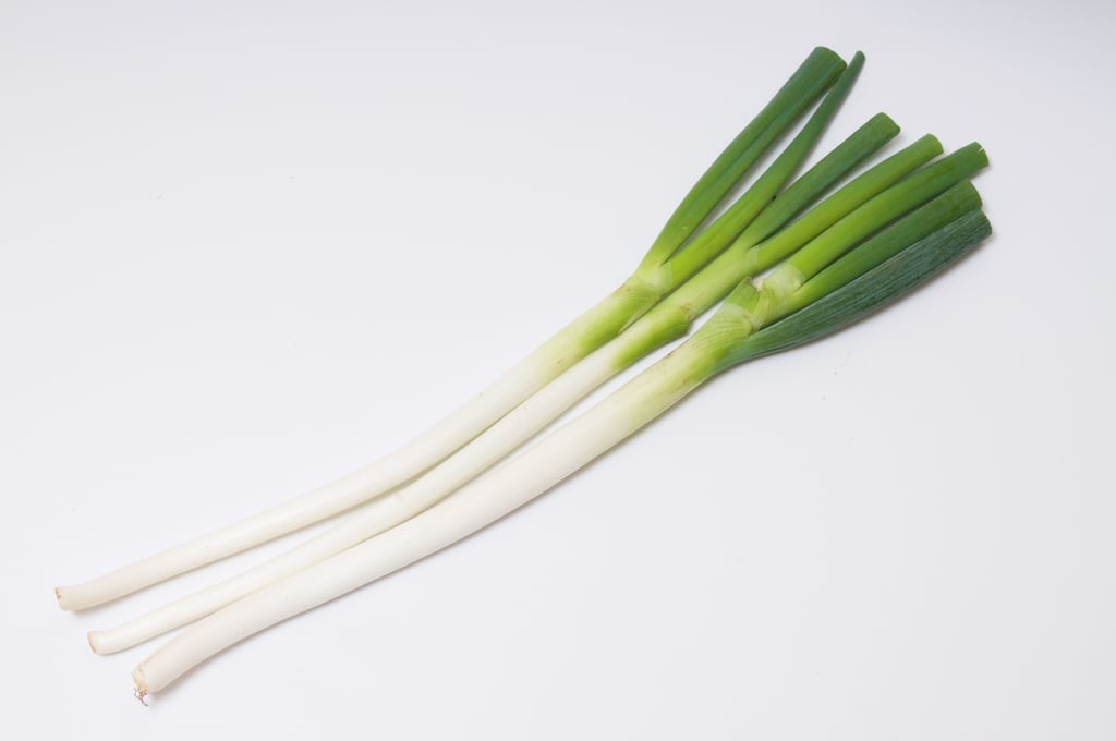 12月に食べたい長ねぎ｜体を温め風邪予防にも役立つ冬の薬膳の知恵と簡単レシピ