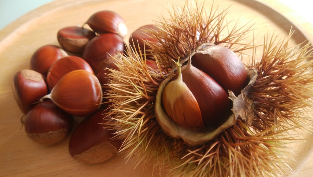 10月に食べたい栗（くり）｜腎を養い足腰を強くする秋の栄養薬膳と簡単レシピ