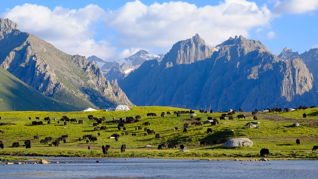 Yakherde in Osttibet