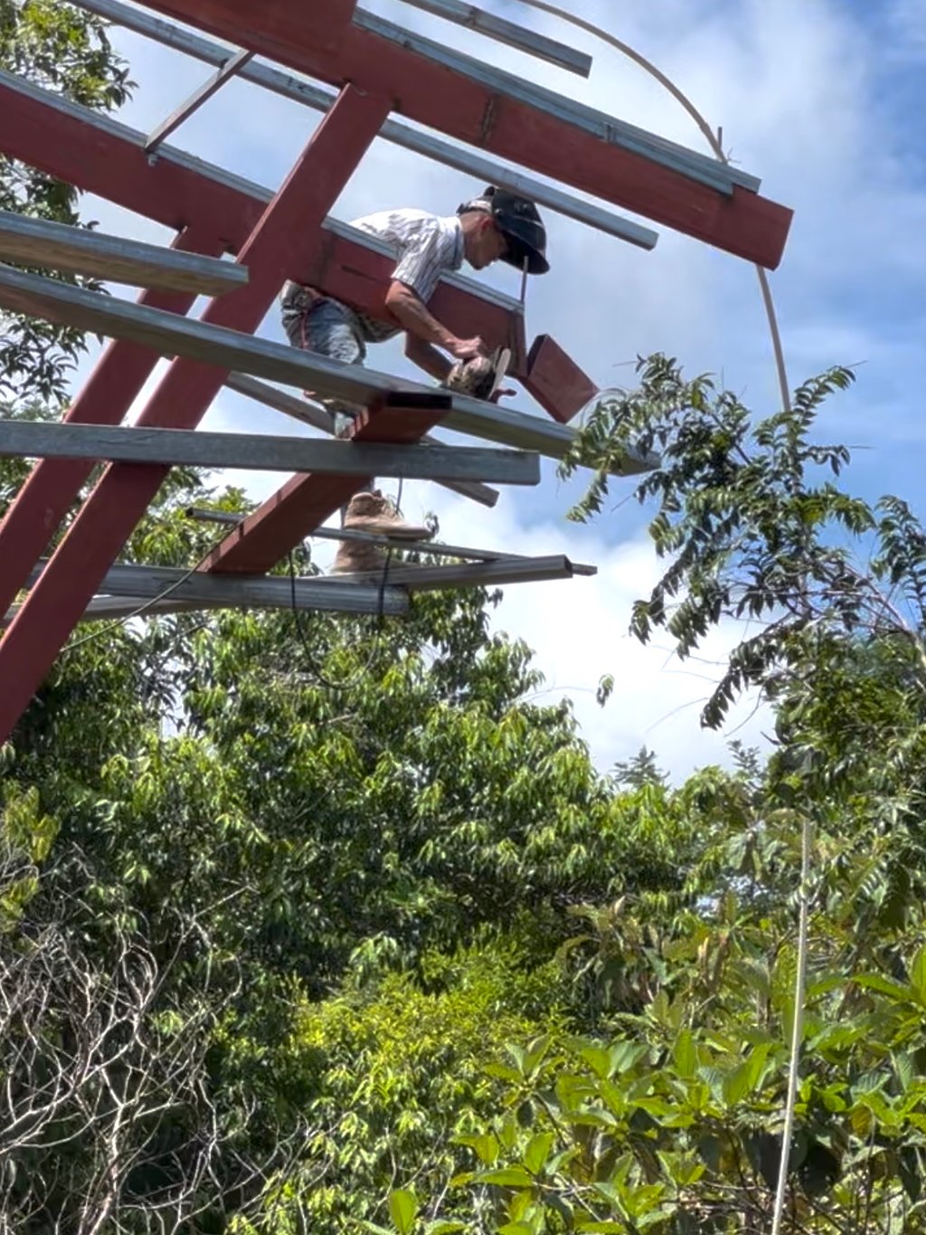 June 2023 - like working on a tree