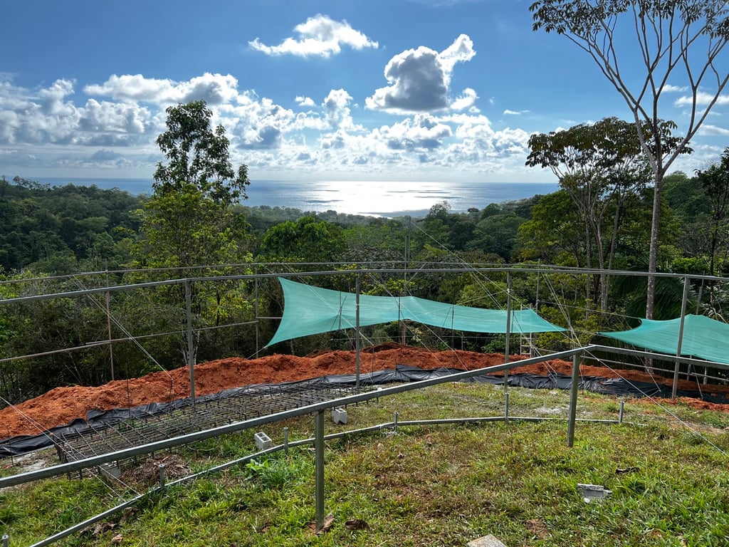 January 2023 - large circle to define the foundations