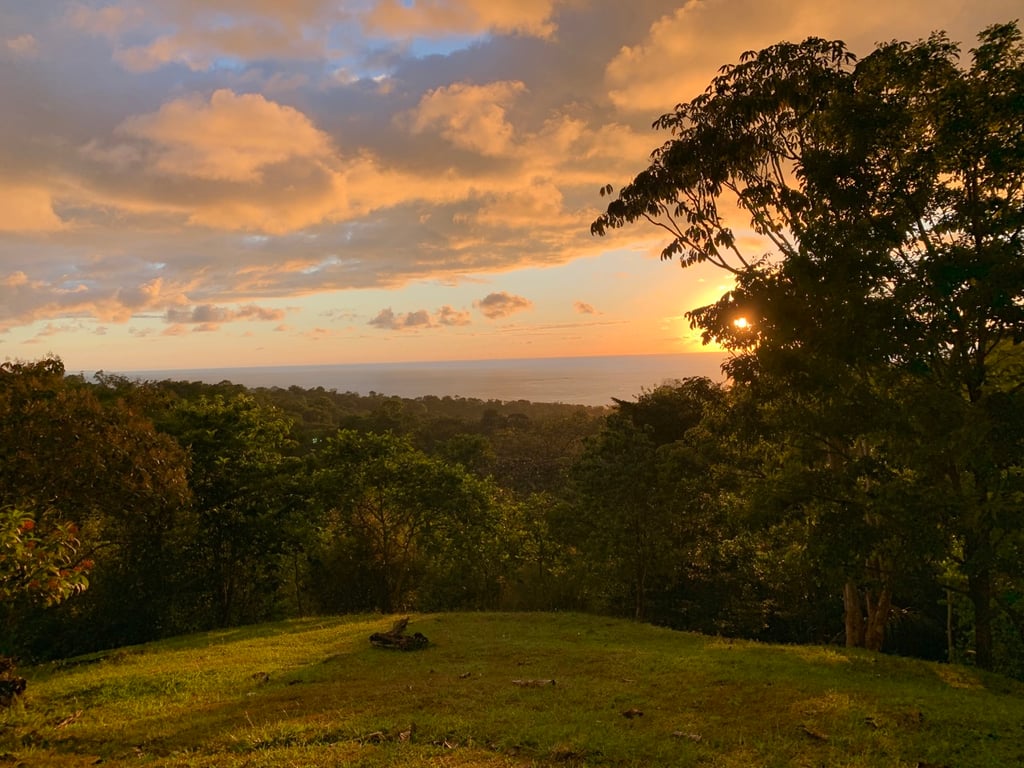 January 2020 - we felt in love with the lot