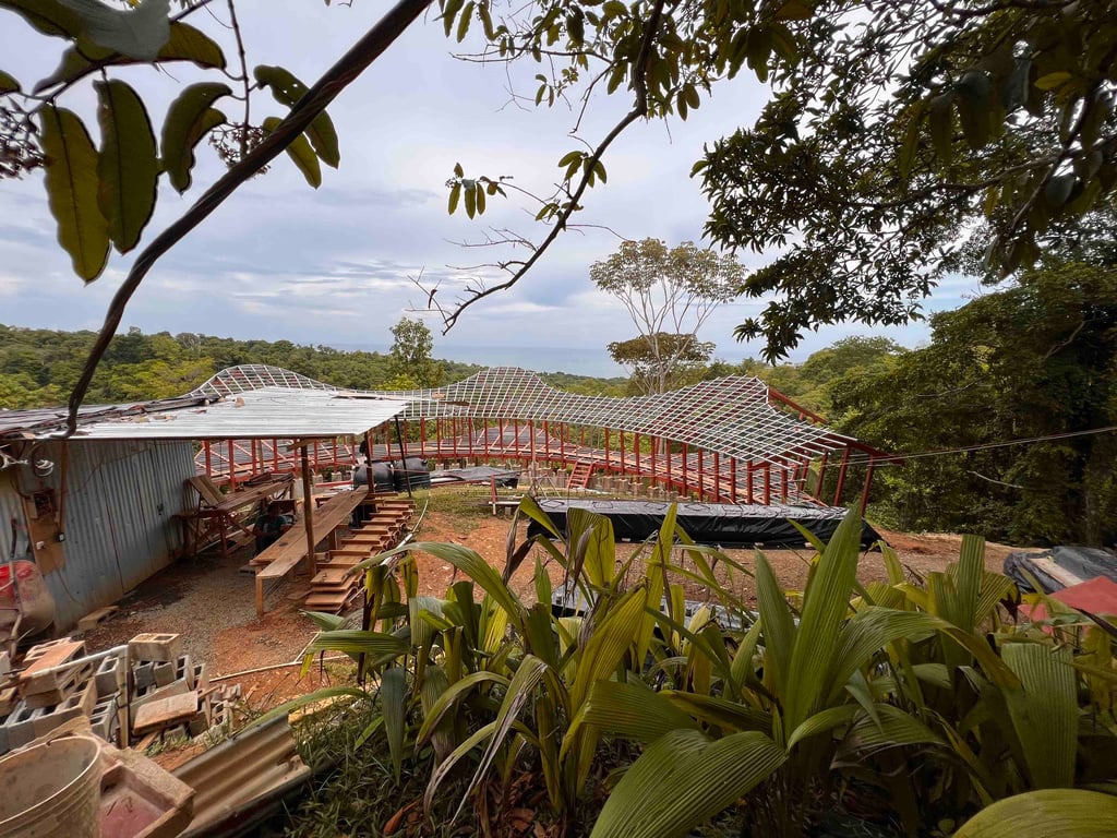 June 2023 - site visit on Sunday noon. One side of the roof structure is finished. 