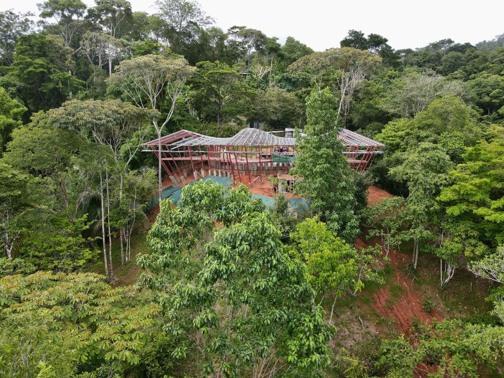 June 2023 - immersed in the jungle