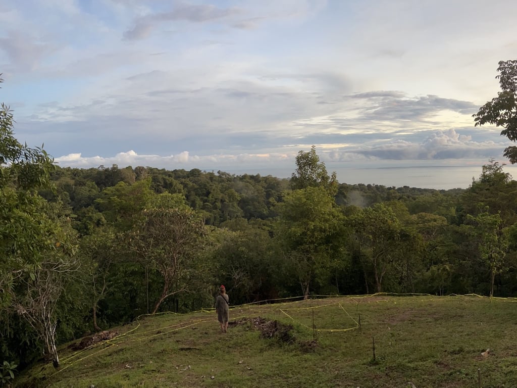 June 2022 - layout on the land