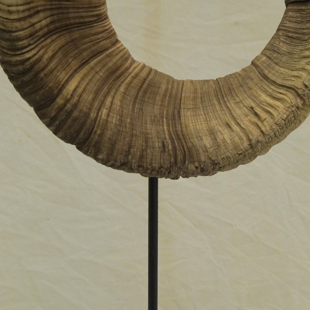 Das goldene Horn,  Kraftobjekte Wolfgang Wallner Hall in Tirol