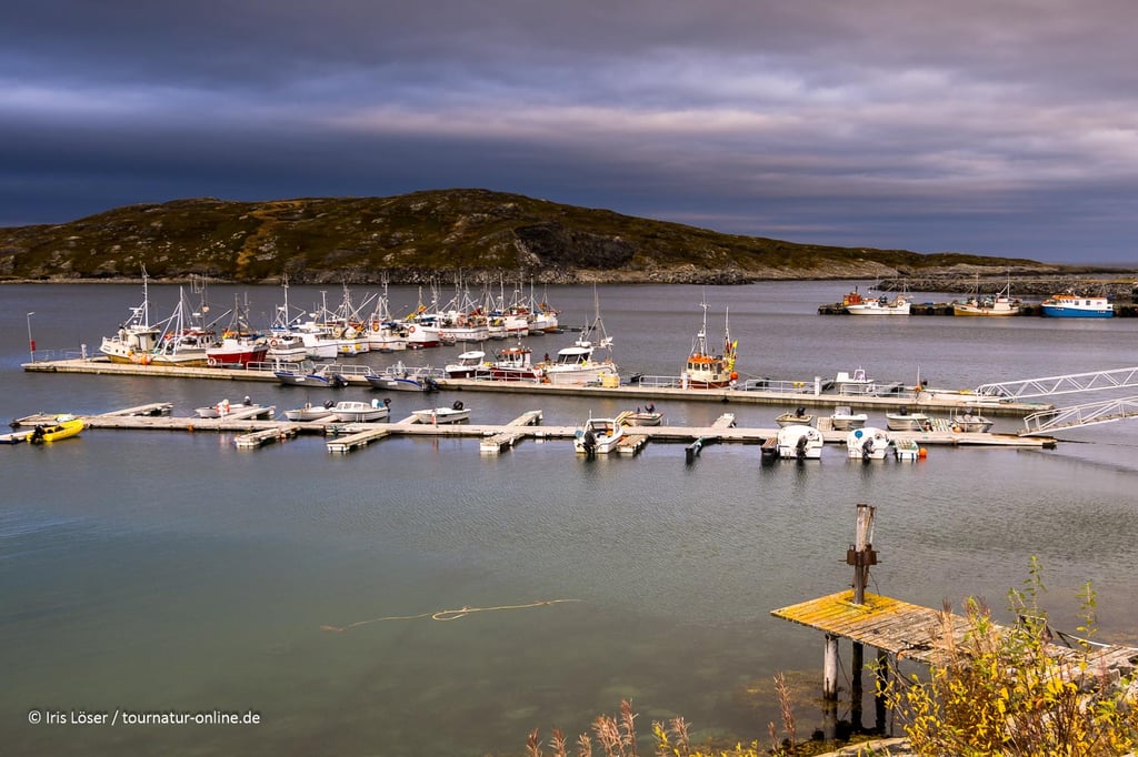 Auch das Örtchen Bugøynes ist einen Besuch wert.