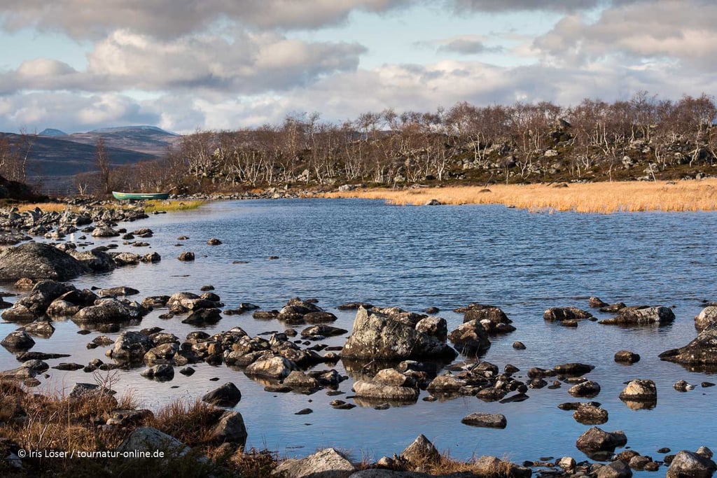 Am See über Kilpisjärvi ist der Herbst eingekehrt.