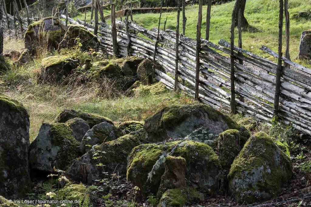 Das Kulturreservat Öna erreicht man über eine Schotterstraße.