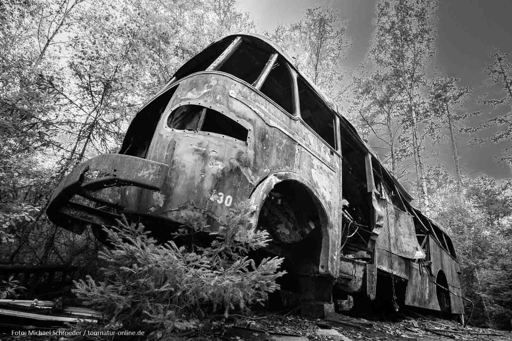 Autofriedhof im Kyrkö Mosse