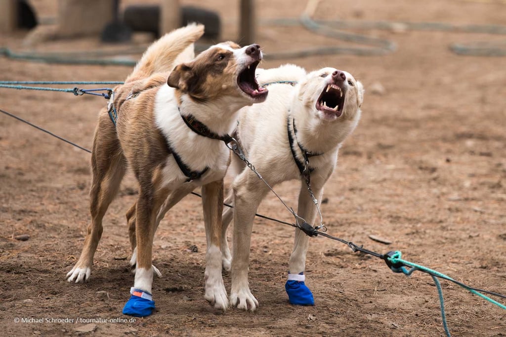 ... wann geht es endlich los?