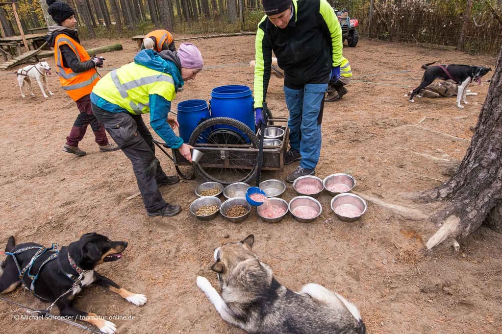 die Mahlzeit wird bereitet