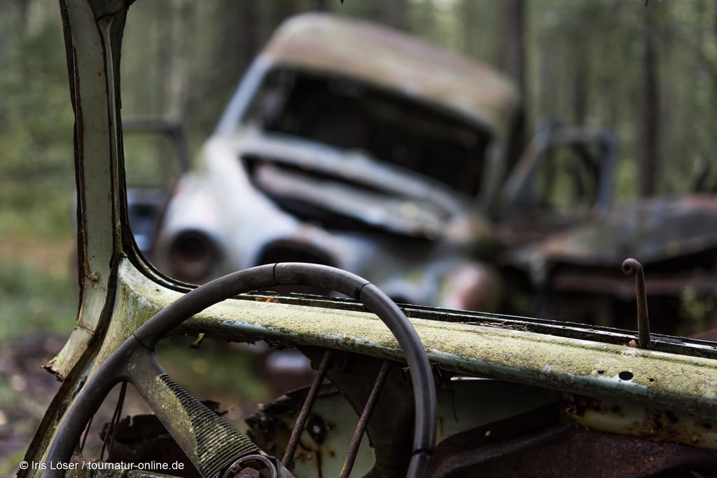 Autofriedhof im Kyrkö Mosse