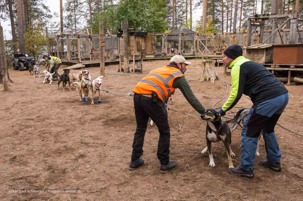 ... kurz vor dem Start ...