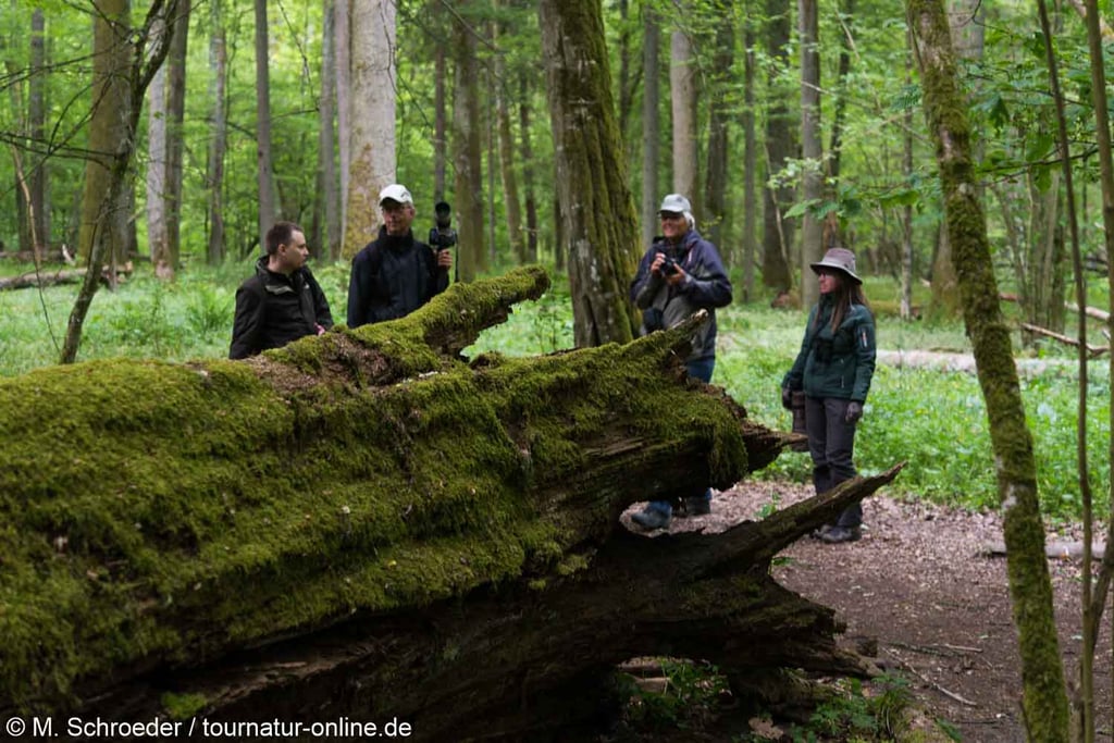 Die Kernzone des Parks darf nur mit einem Ranger betreten werden.