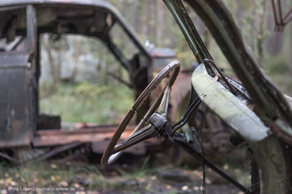 Autofriedhof im Kyrkö Mosse